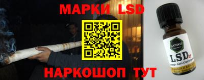стаф Кингисепп