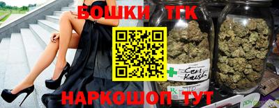 стаф Кингисепп